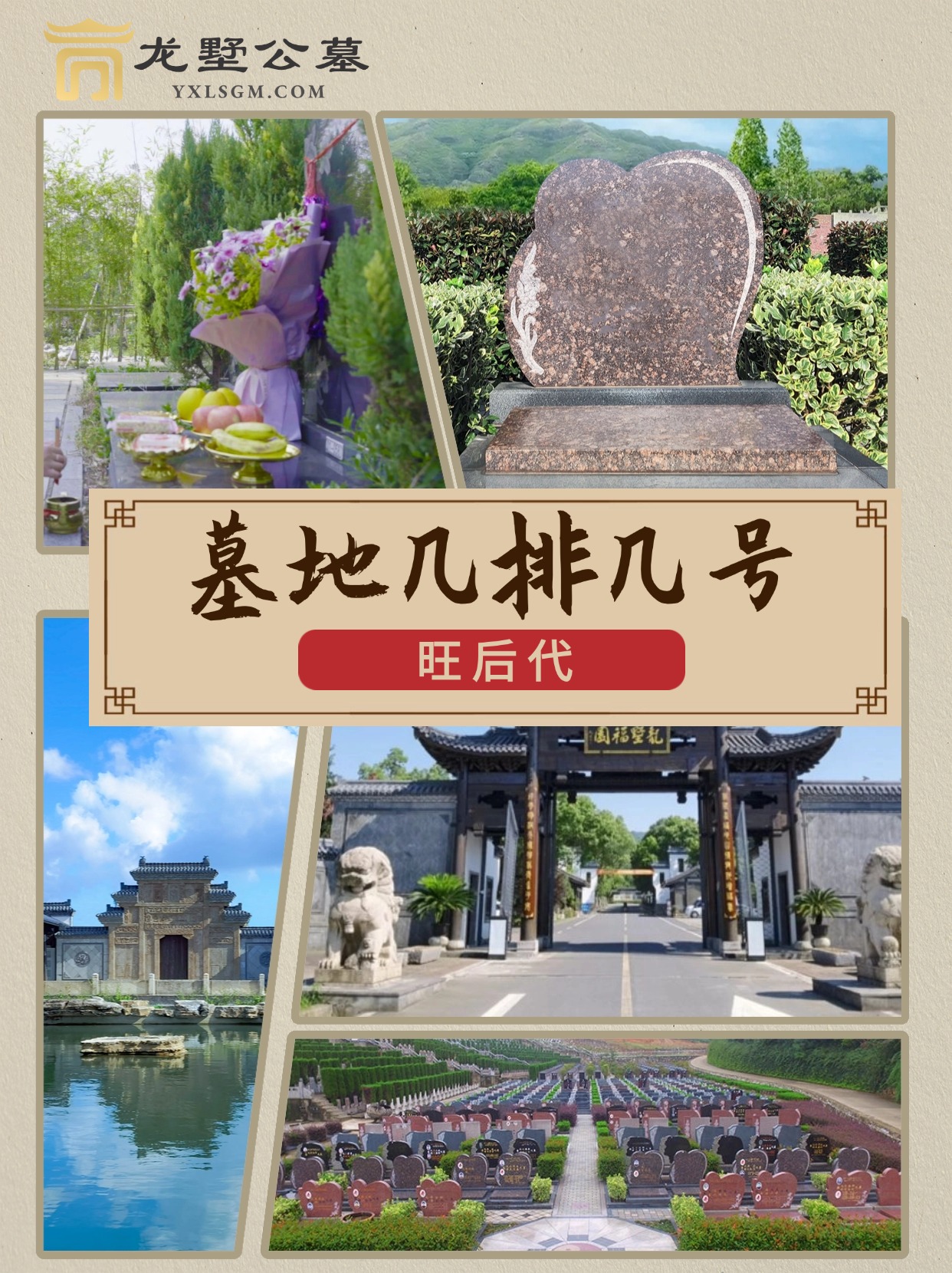 墓地几排几号旺后代