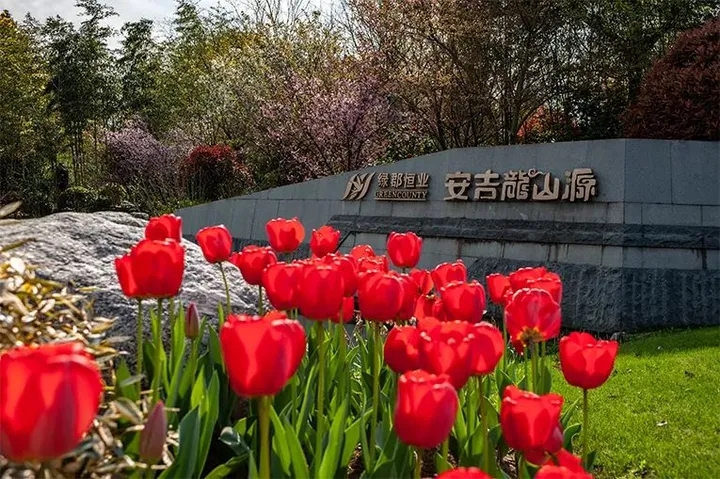 安吉龙山源公墓价格、地址、联系电话